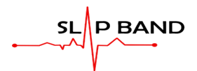 Slap Band Logo